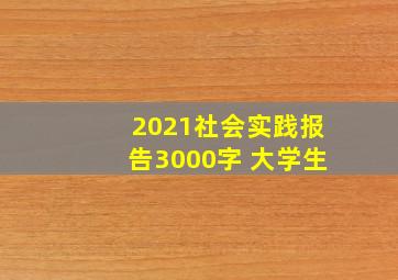 2021社会实践报告3000字 大学生